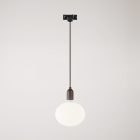 Rail-mounted pendant lamp with wooden lamp holder
