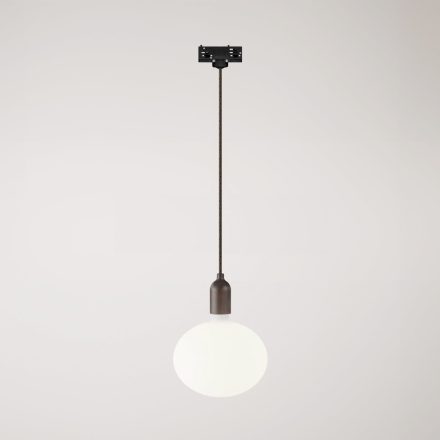 Rail-mounted pendant lamp with wooden lamp holder