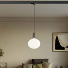 Rail-mounted pendant lamp with wooden lamp holder
