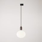 Rail-mounted pendant lamp with wooden lamp holder
