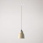Suspended lamp with Vaso shade and rail adapter
