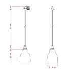Suspended lamp with Vaso shade and rail adapter
