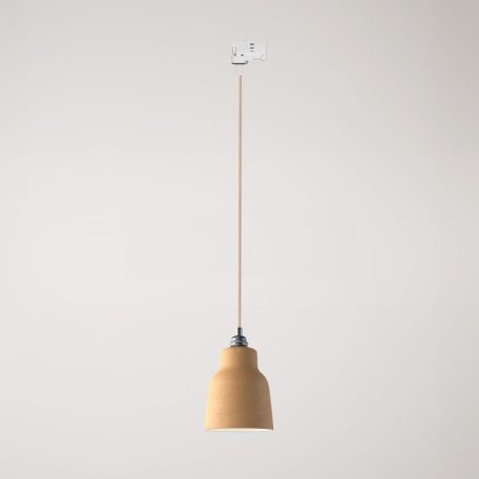 Suspended lamp with Vaso shade and rail adapter