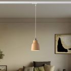 Suspended lamp with Vaso shade and rail adapter