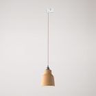 Suspended lamp with Vaso shade and rail adapter