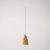 Suspended lamp with Vaso shade and rail adapter