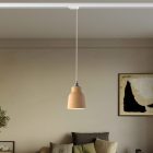 Suspended lamp with Vaso shade and rail adapter