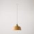 Coppa pendant lamp with shade and rail adapter