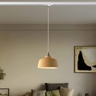 Coppa pendant lamp with shade and rail adapter