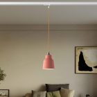 Suspended lamp with Vaso shade and rail adapter
