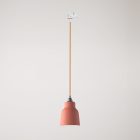 Suspended lamp with Vaso shade and rail adapter