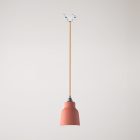 Suspended lamp with Vaso shade and rail adapter