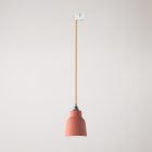 Suspended lamp with Vaso shade and rail adapter