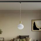 Metal rail-mounted pendant lamp in contrasting design