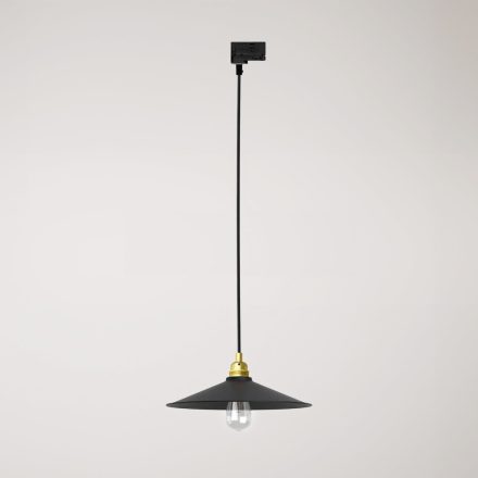 Swing pendant lamp with shade on rail