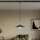 Swing pendant lamp with shade on rail