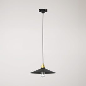 Swing pendant lamp with shade on rail