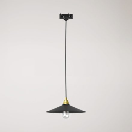 Swing pendant lamp with shade on rail