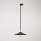 Swing pendant lamp with shade on rail