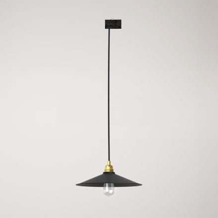 Swing pendant lamp with shade on rail
