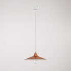 Swing pendant lamp with shade on rail