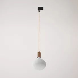 Metal rail-mounted pendant lamp in contrasting design