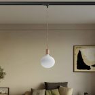 Metal rail-mounted pendant lamp in contrasting design