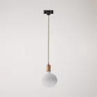 Metal rail-mounted pendant lamp in contrasting design