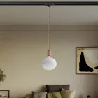 Metal rail-mounted pendant lamp in contrasting design