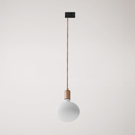 Metal rail-mounted pendant lamp in contrasting design
