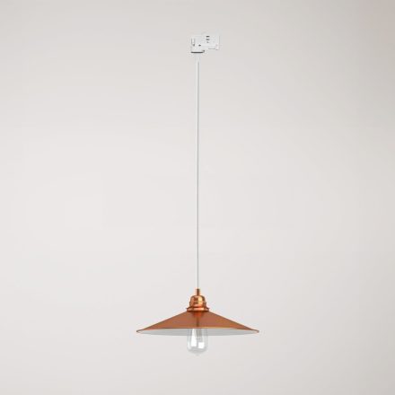 Swing pendant lamp with shade on rail