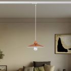 Swing pendant lamp with shade on rail