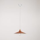 Swing pendant lamp with shade on rail