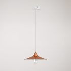 Swing pendant lamp with shade on rail