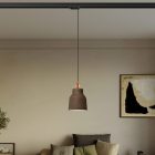 Suspended lamp with Vaso shade and rail adapter