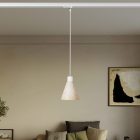 Track-mounted pendant lamp with conical wooden shade