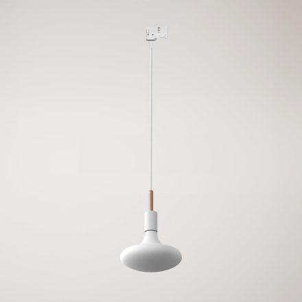 Rail-mounted pendant lamp with 7 cm cable clamp