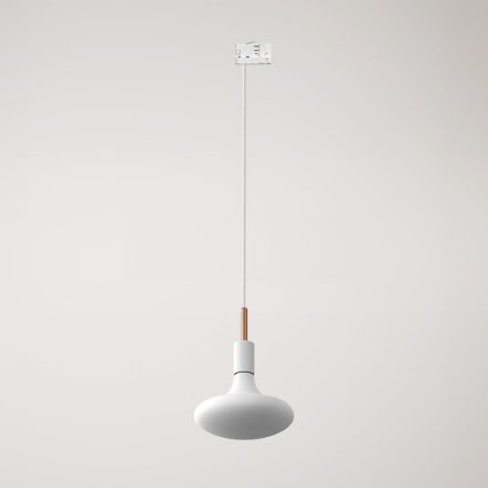 Rail-mounted pendant lamp with 7 cm cable clamp