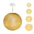 Suspended lamp with spherical lampshade