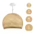 Suspended lamp with dome lampshade