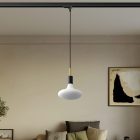 Rail-mounted pendant lamp with 7 cm cable clamp