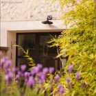 EIVA, the first outdoor E27 IP65 wired lamp holder for the Modulair system