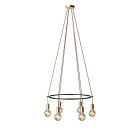 6-fall Cage Globe lamp