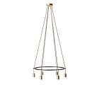 6-fall Cage Globe lamp