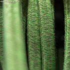 Electric cable for String Lights, with Pixel Bronte CX08 cotton fabric cover - UV resistant