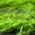 Grass green textile cable Marlene - The original Creative-Cables - TP06 braided 2x0.75 mm / 3x0.75 mm