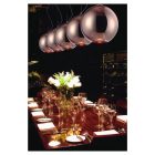  Mantra CRYSTAL BRONZE 4614 One-pronged pendant red copper glass