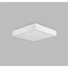 MANTRA SAONA SUPERFICIE TEK Surface LED  Rectangular