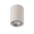 MANTRA LEVI Outdoor Ceiling Spot IP65