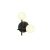 MANTRA CELLAR Decorative Indoor Wall Lamp 2 Lights